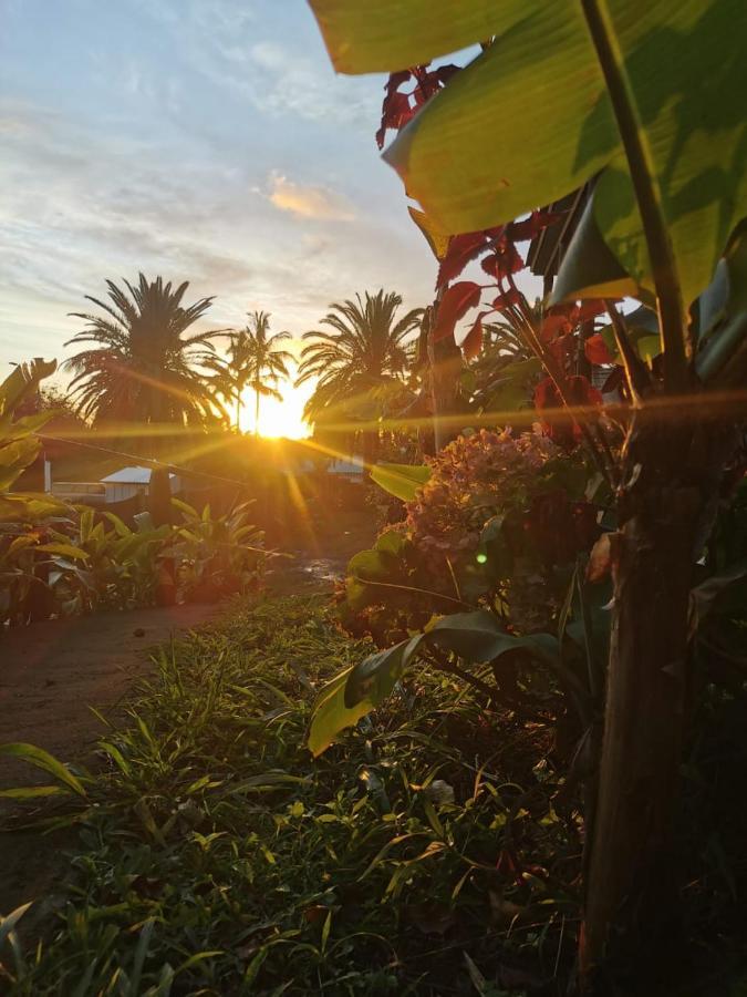 Hostal Tu'U Koihu Hanga Roa Luaran gambar