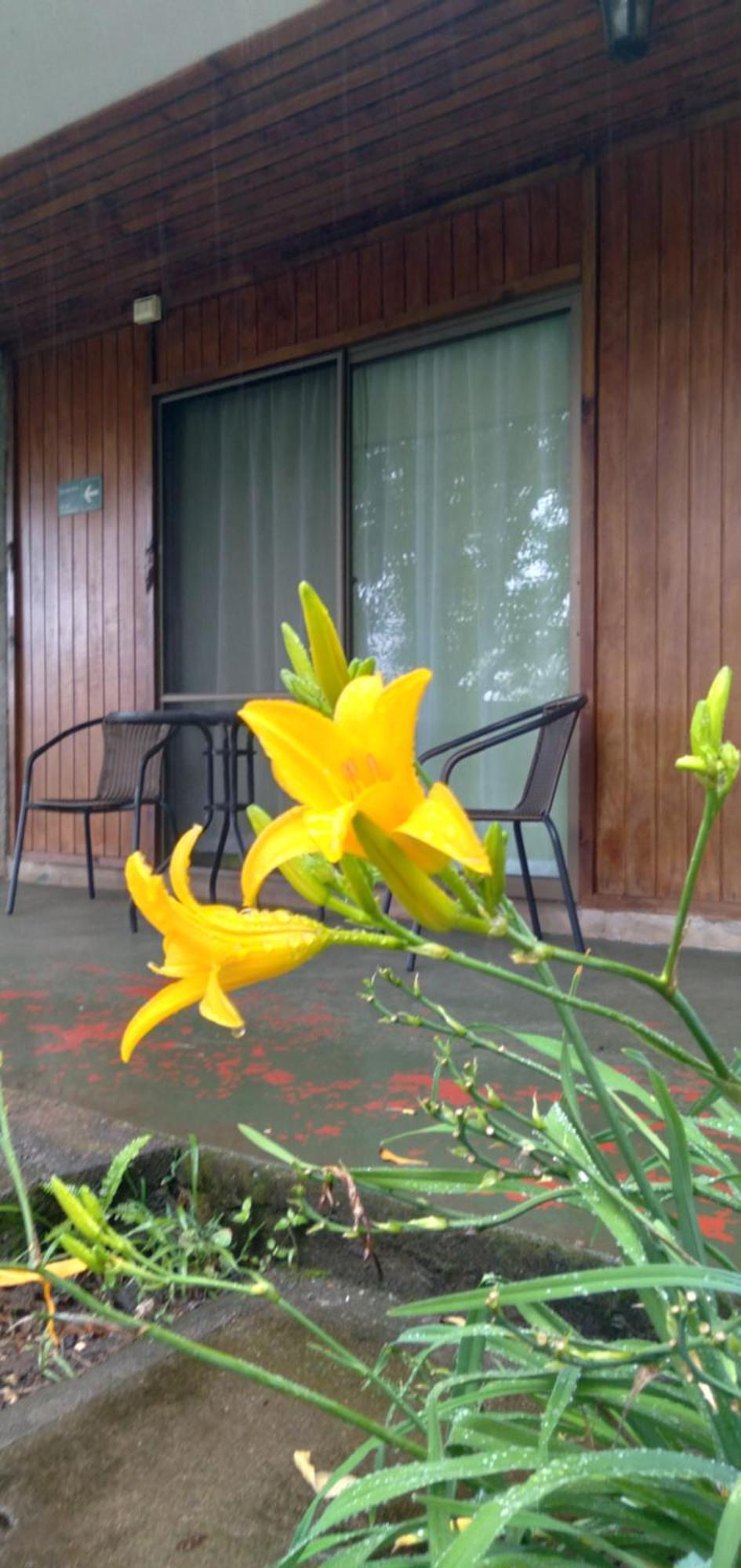 Hostal Tu'U Koihu Hanga Roa Luaran gambar