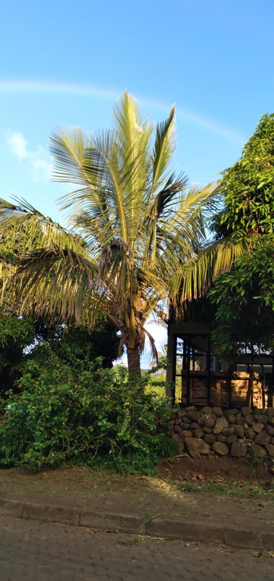 Hostal Tu'U Koihu Hanga Roa Luaran gambar