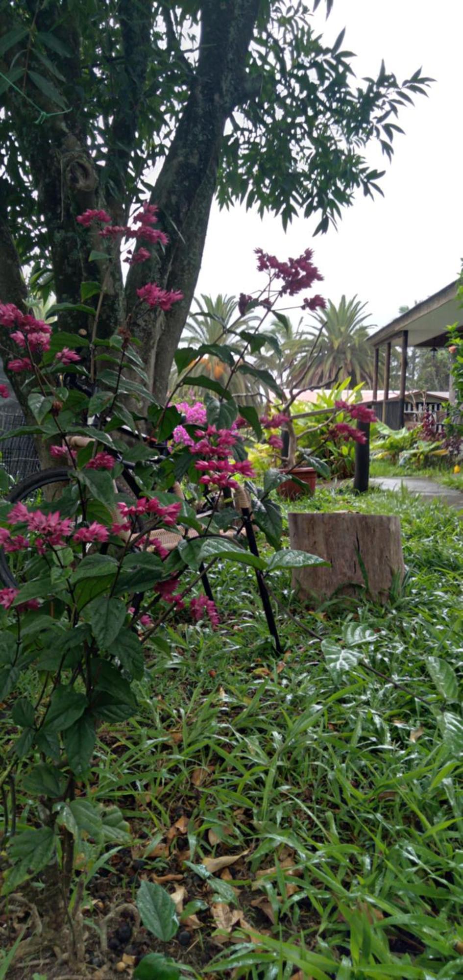 Hostal Tu'U Koihu Hanga Roa Luaran gambar