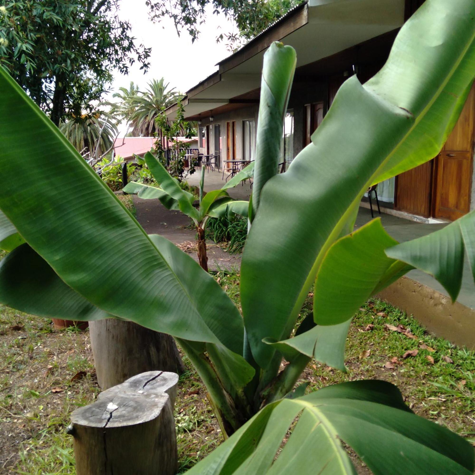Hostal Tu'U Koihu Hanga Roa Luaran gambar