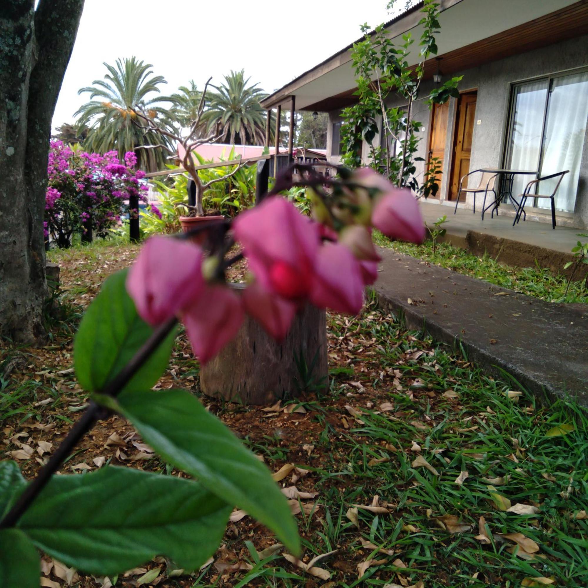 Hostal Tu'U Koihu Hanga Roa Luaran gambar